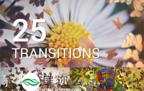 AE模板25种浪漫婚礼画面转换效果蝴蝶飞散转场效果