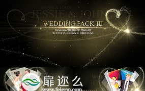 AE模板心形粒子相册婚礼照片浪漫美观动画