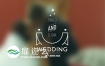 AE模板11组婚礼徽章文字标题动画