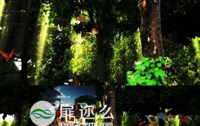 浪漫森林小木屋童话恋曲高清婚礼舞台背景视频素材