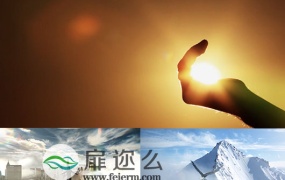 企业文化精神梦想宣传植物生长视频素材