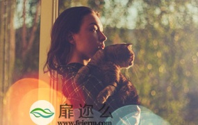图片素材:49组唯美镜头光斑覆盖叠加视觉效果49 Bokeh Lights