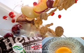 实拍啤酒水果牛奶鸡蛋飞舞视频动画