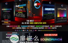 视频特效调色素材预设套装包 5.0 CINEPUNCH Master Suite
