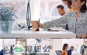 实拍高清视频企业商务IT人士工作视频画面