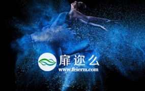 Ae Pr动态模糊插件ReelSmart Motion Blur 5.1.8