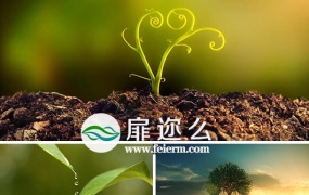 视频素材:具有深刻意义的水滴大树成长过程素材