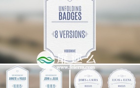 AE模板:婚礼标签徽章文字标题动画 Wedding Badges