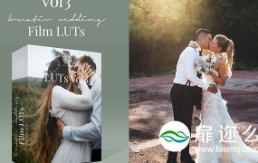 LUT调色预设:8组欧美风格婚礼LUT调色预设Kreativ Wedding LUTs Vol. 3