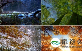 视频素材:季节交替四季变换素材