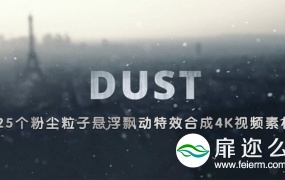 视频素材-25个4K粉尘粒子悬浮飘动视频特效合成素材