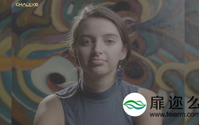 LUTS预设:GH5 VLog灰片转换成阿莱效果LUTS预设 Ghalex Daylight + Tungsten v3