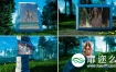 AE模板-现实森林中的图像婚礼结婚纪念日家庭生日祝福相册