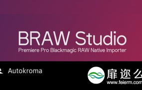 PR插件:导入Blackmagic RAW素材插件 Aescripts BRAW Studio v1.1.0破解版
