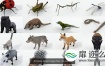 3D模型：30个森林动物模型 CGTrader – 30 Forest Animals Super Pack 3D Model Collection
