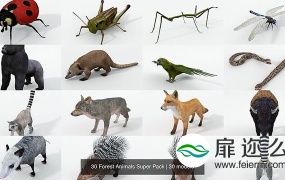 3D模型:30个森林动物模型 CGTrader – 30 Forest Animals Super Pack 3D Model Collection