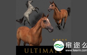 3D模型:马匹模型 CGTrader – Ultimate Horse Collection – 3d model