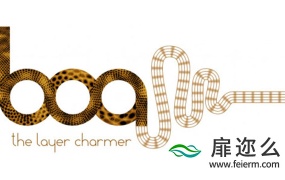 AE插件:物体沿路径生长动画 Aescripts BOA Boa v1.3.1