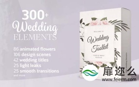 AE模板-300+唯美婚礼复古框架装饰元素文字排版标题设计动画