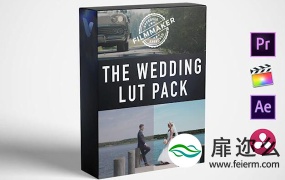 LUTs预设:10组光斑耀斑视频素材+13组婚礼视频调色