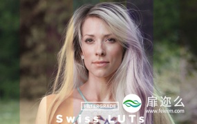 LUTs预设:99组现代精美瑞士风格效果LUTs调色CUBE预设