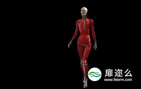 Maya插件:医学人体肌肉骨骼模拟插件 Ziva Dynamics Ziva VFX v1.7