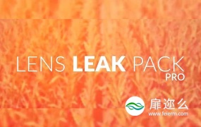 视频素材:100个唯美光炫光闪烁镜头光晕耀素材 Lens Leak Pack Pro