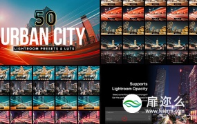 LUTS预设:50种夜晚城市夜景LUTS调色预设 50 Urban City Lightroom Presets LUTs
