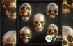 3D模型-骷髅头模型 Billelis 3D Skull Model Pack Vol.1
