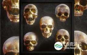 3D模型-骷髅头模型 Billelis 3D Skull Model Pack Vol.1