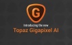 图片无损放大软件 Topaz Gigapixel AI 4.7.1 Win破解版