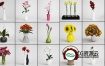 3D模型-25个室内鲜花插花C4D模型合集 Flower arrangement