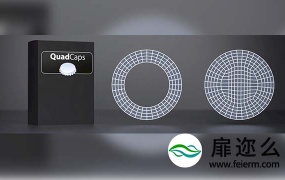 C4D插件-多变形封闭孔洞插件 C4DZone QuadCaps 1.0 For Cinema 4D R23 Win破解版