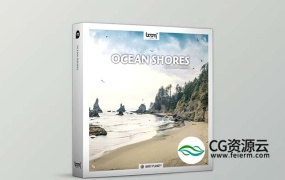 音效素材-202组自然环境海岸线海鸥海浪吹风虫鸣鸟叫环绕立体声音效 Ocean Shores