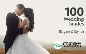 LUTS调色-100组婚礼视频LUTS调色预设 Wedding Color Corrections