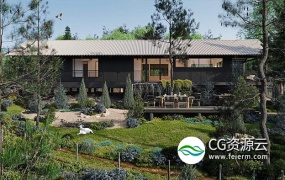 3D模型-针叶树植物树木模型 Globe Plants – Bundle 10 Conifer Garden
