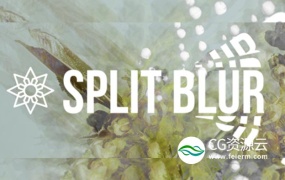 AE/PR插件-万花筒风格模糊 Aescripts Split Blur V1.0.2