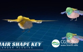 Blender插件-毛发生成插件 HairShapeKey V5.2 For Blender 2.79+使用教程