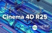 MAXON Cinema 4D C4D R25.117 Win/Mac 中文版/英文版/破解版