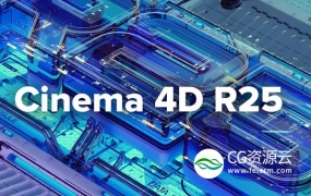 MAXON Cinema 4D C4D R25.120 Win/Mac 中文版/英文版/破解版