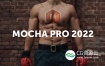 摄像机反求跟踪摩卡软件AE/PR/OFX/达芬奇插件 Mocha Pro 2022.5 v9.5.4 Win