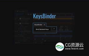 AE脚本-一键快速整合简化关键帧整体控制工具 KeysBinder v1.05