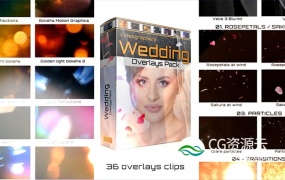 视频素材-婚礼唯美光晕光效花瓣粒子美化叠加素材