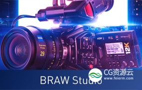 AE/PR/AME插件-将Blackmagic RAW格式视频素材直接导入编辑 BRAW Studio v2.6.1 Win
