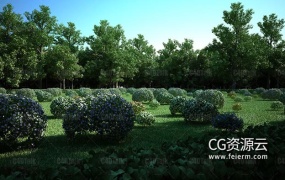 C4D插件-植物生成插件预设 Laubwerk SurfaceSPREAD v2.0.7