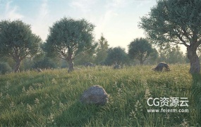 C4D插件-植物树木草地石头生成制作插件 3DQUAKERS – Forester v1.5.2+ Expansion Pack v1+V2 预设包