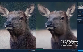 图片降噪去颗粒处理清晰软件 Topaz DeNoise AI V3.4.2 Win