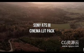 LUTS预设-12个索尼Sony A7S III / A7III for HLG 和 S-Log预设