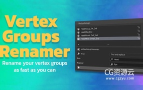 Blender插件-顶点组批量重命名插件 Vertex Groups Renamer – Vgr