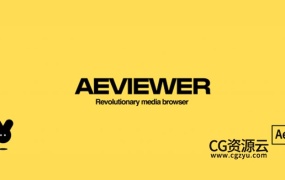 AE/PR脚本-媒体资源项目模板素材预览管理应用工具 AEviewer Pro V2.2 专业版